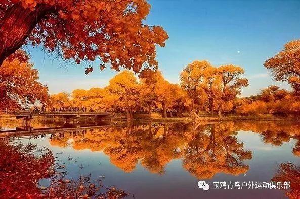 热血无赖