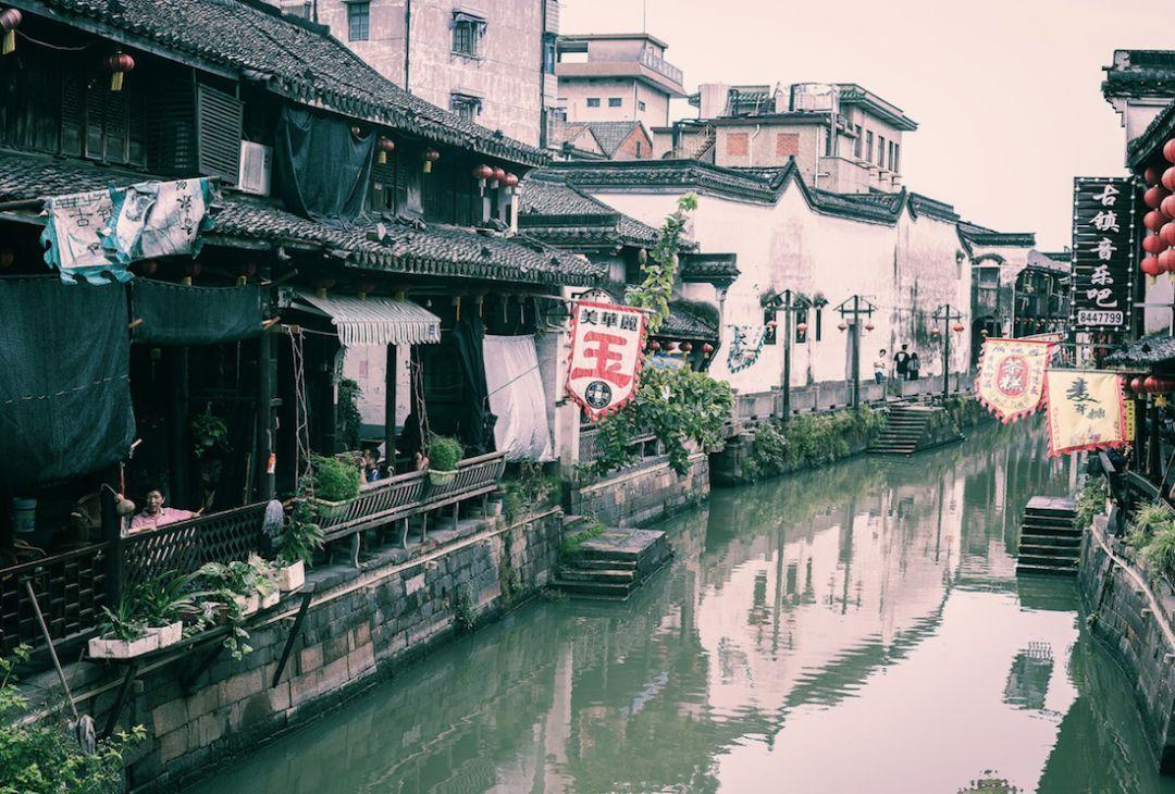 滚动的奶酪